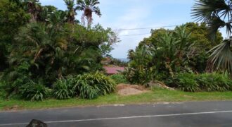 Close to the beach and with sea views