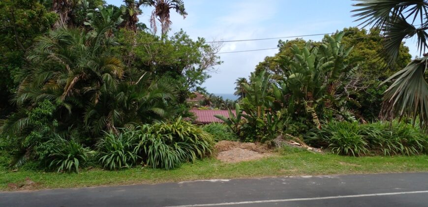 Close to the beach and with sea views